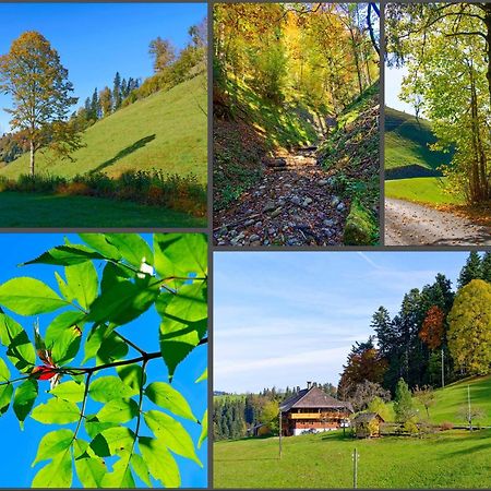 Appartamento Emmental Ferien Langnau im Emmental Esterno foto