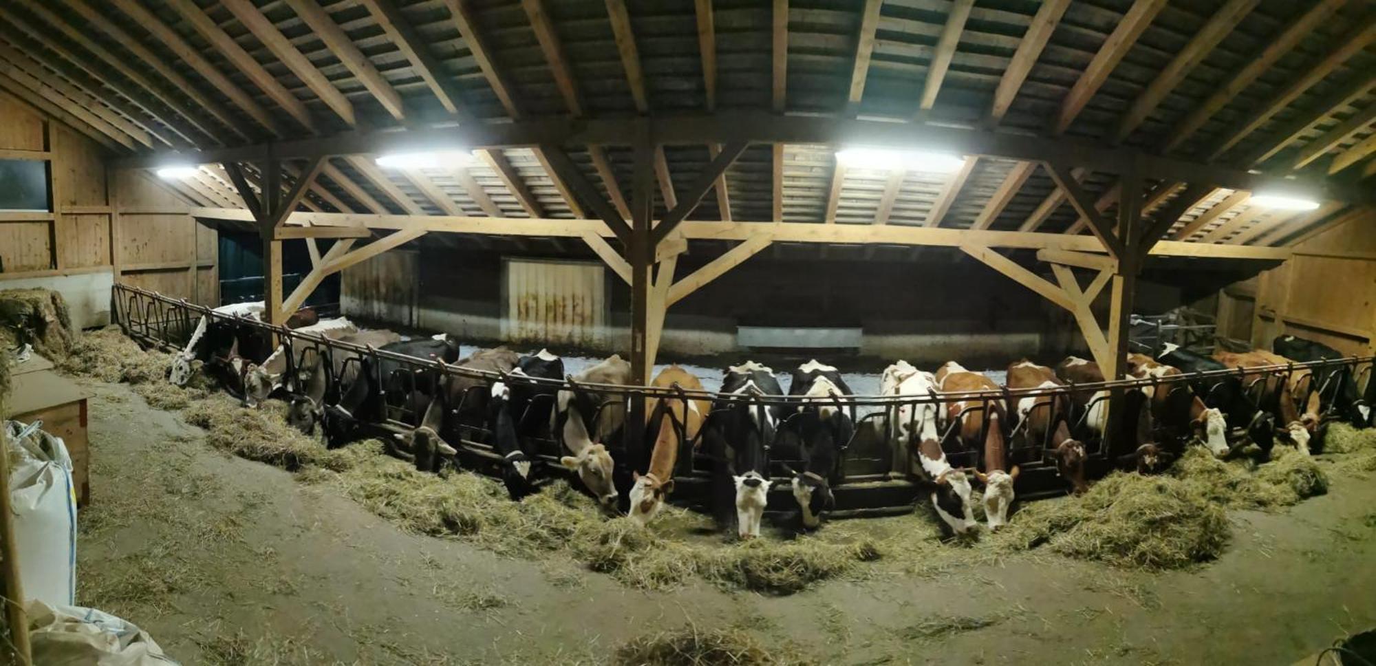 Appartamento Emmental Ferien Langnau im Emmental Esterno foto