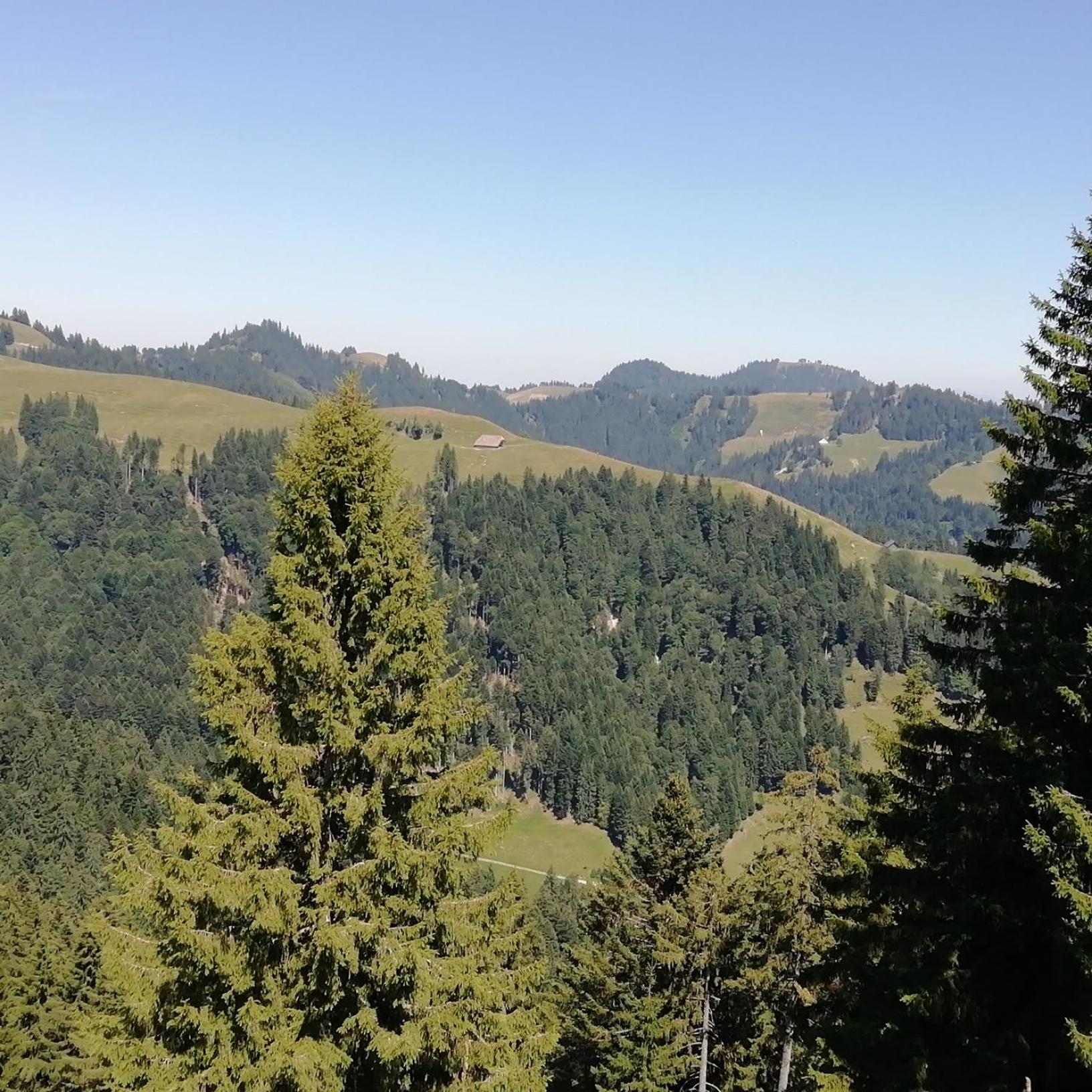 Appartamento Emmental Ferien Langnau im Emmental Esterno foto