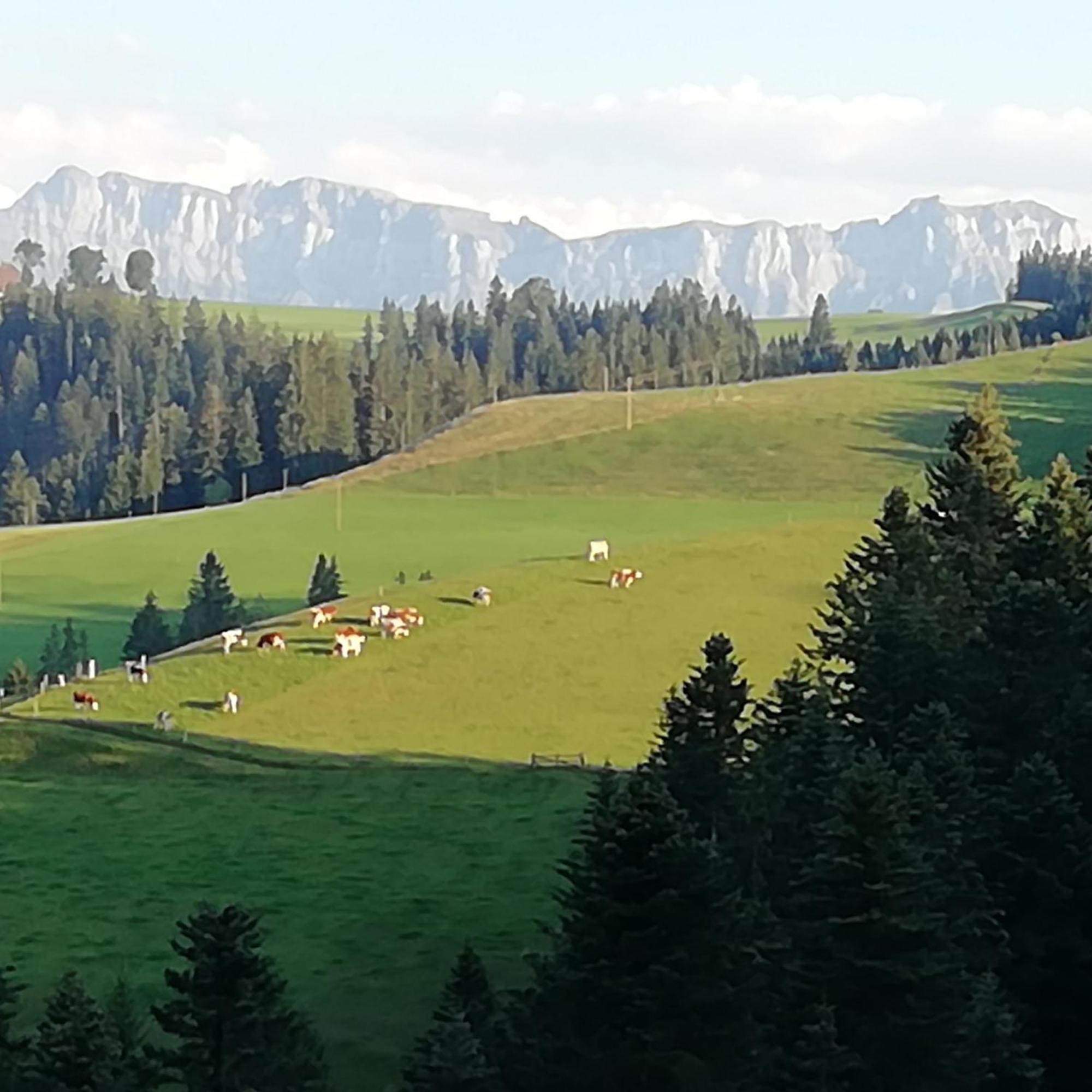 Appartamento Emmental Ferien Langnau im Emmental Esterno foto