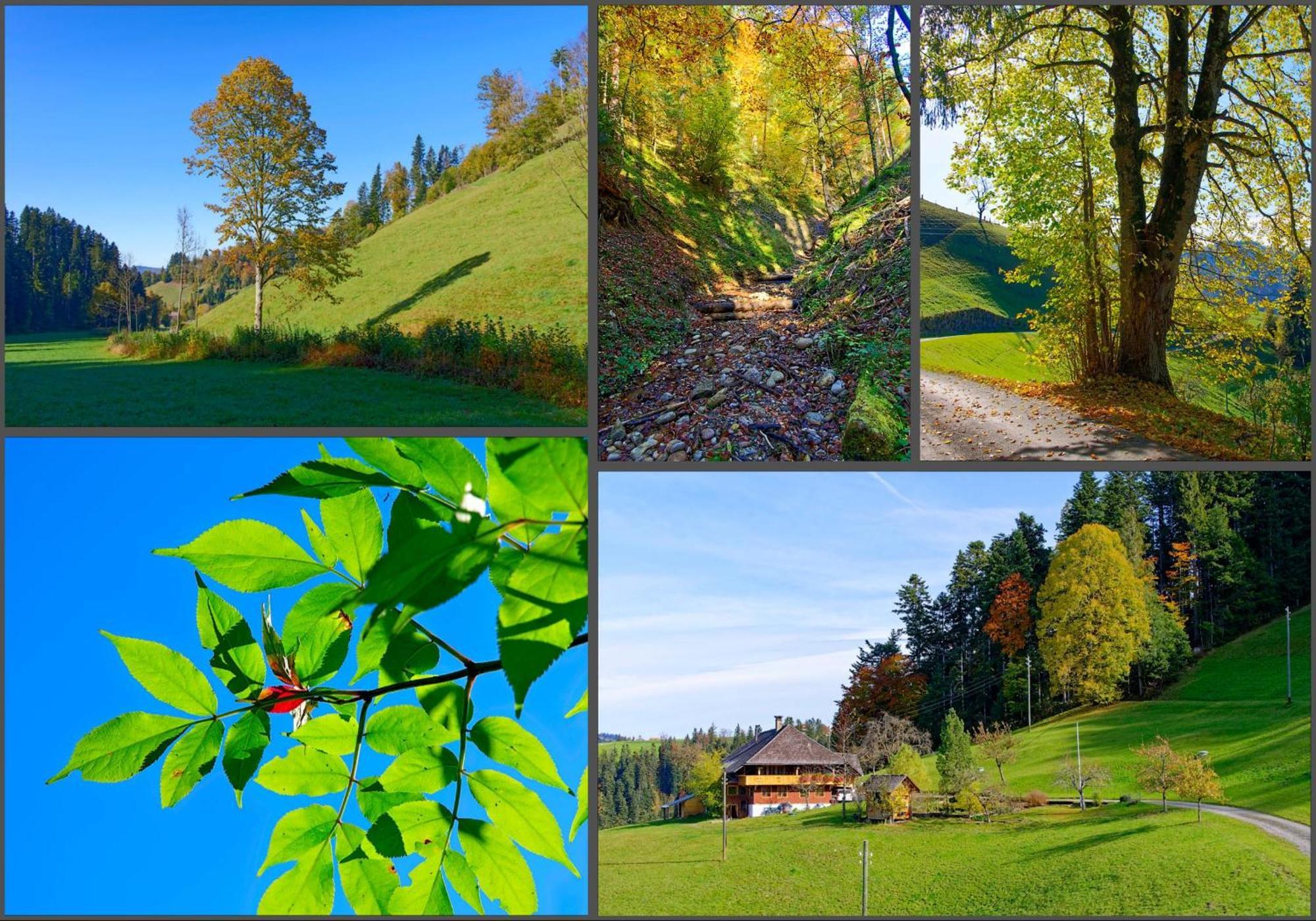 Appartamento Emmental Ferien Langnau im Emmental Esterno foto