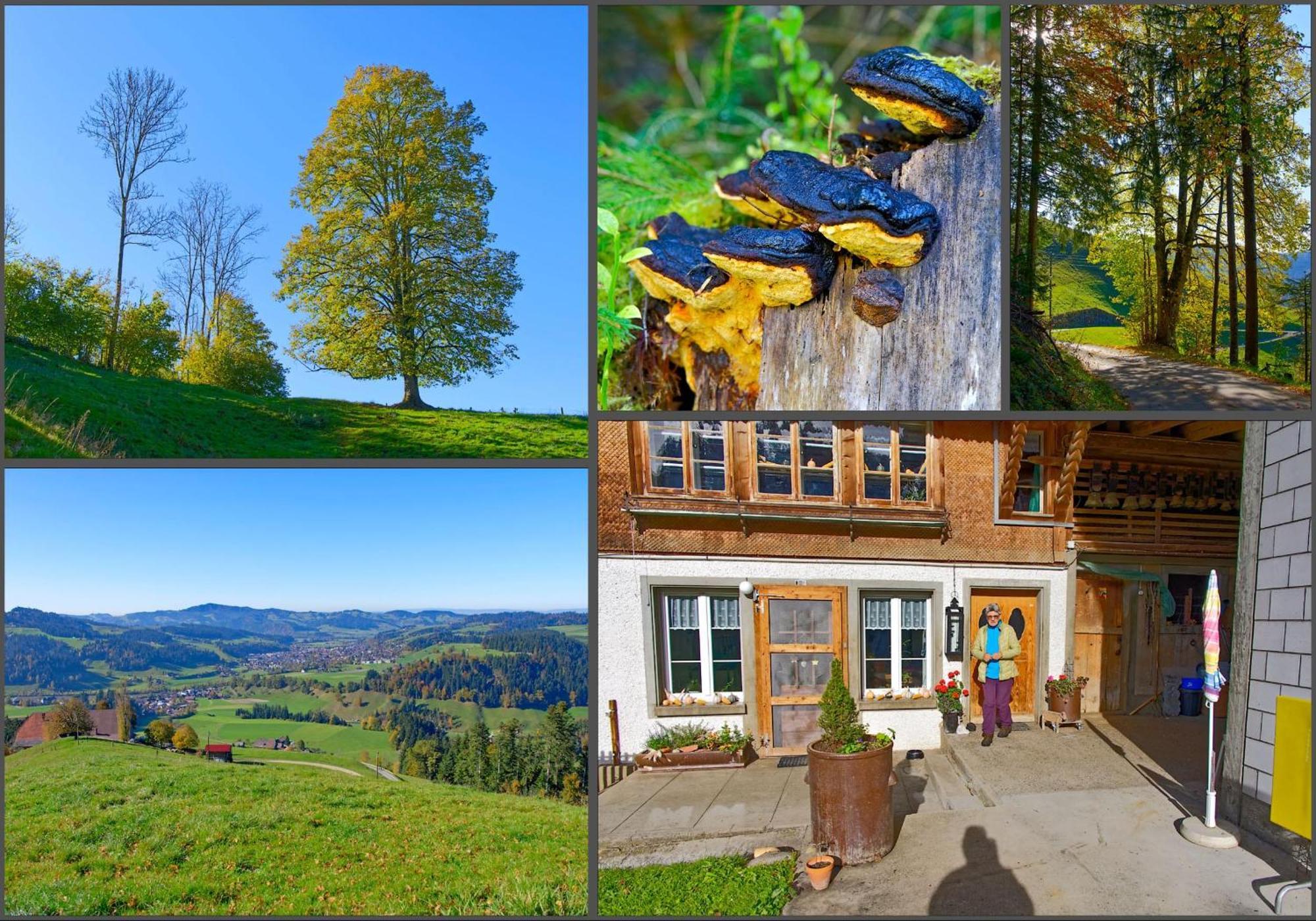 Appartamento Emmental Ferien Langnau im Emmental Esterno foto