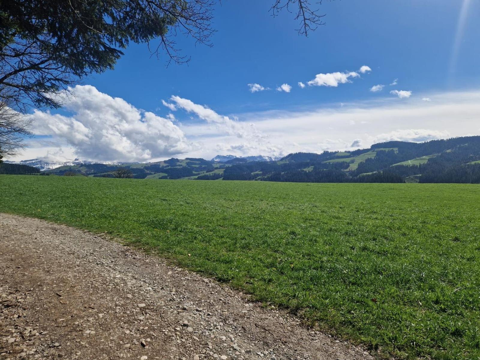 Appartamento Emmental Ferien Langnau im Emmental Esterno foto